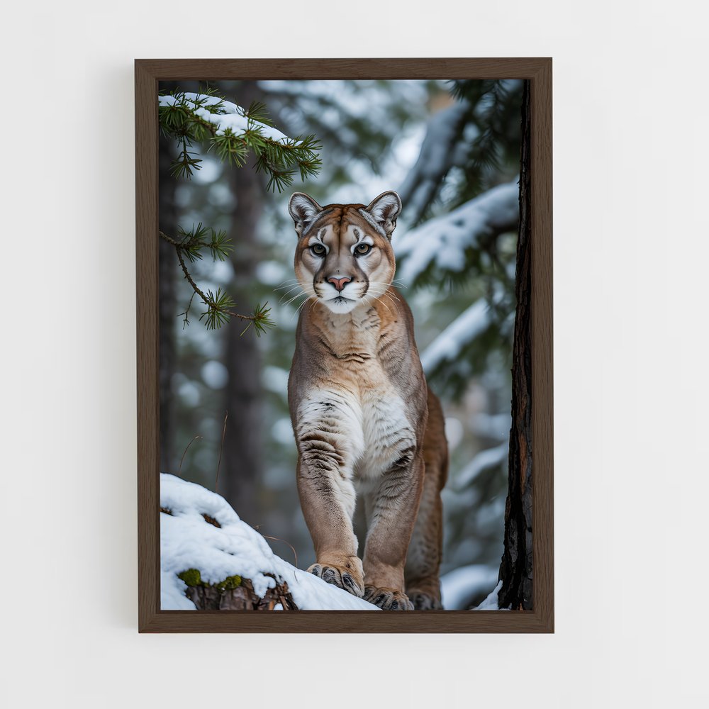 ap-cougar-5 cadre Bois foncé