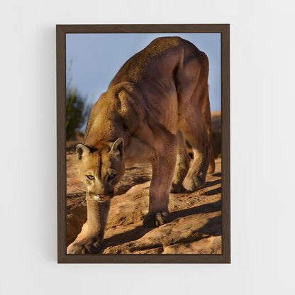 ap-cougar-6 cadre Bois foncé