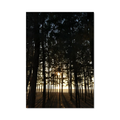 Poster Lumière des Bois