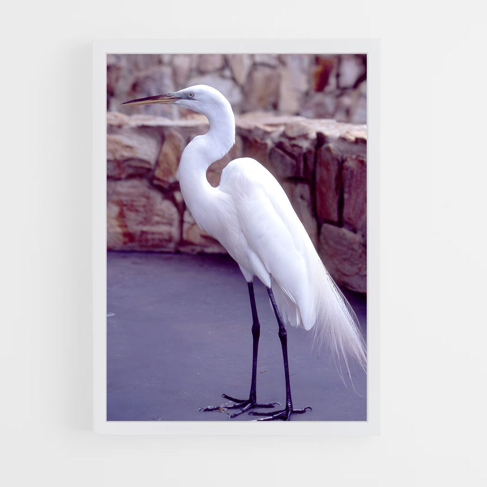 ap-crane-3 cadre Blanc