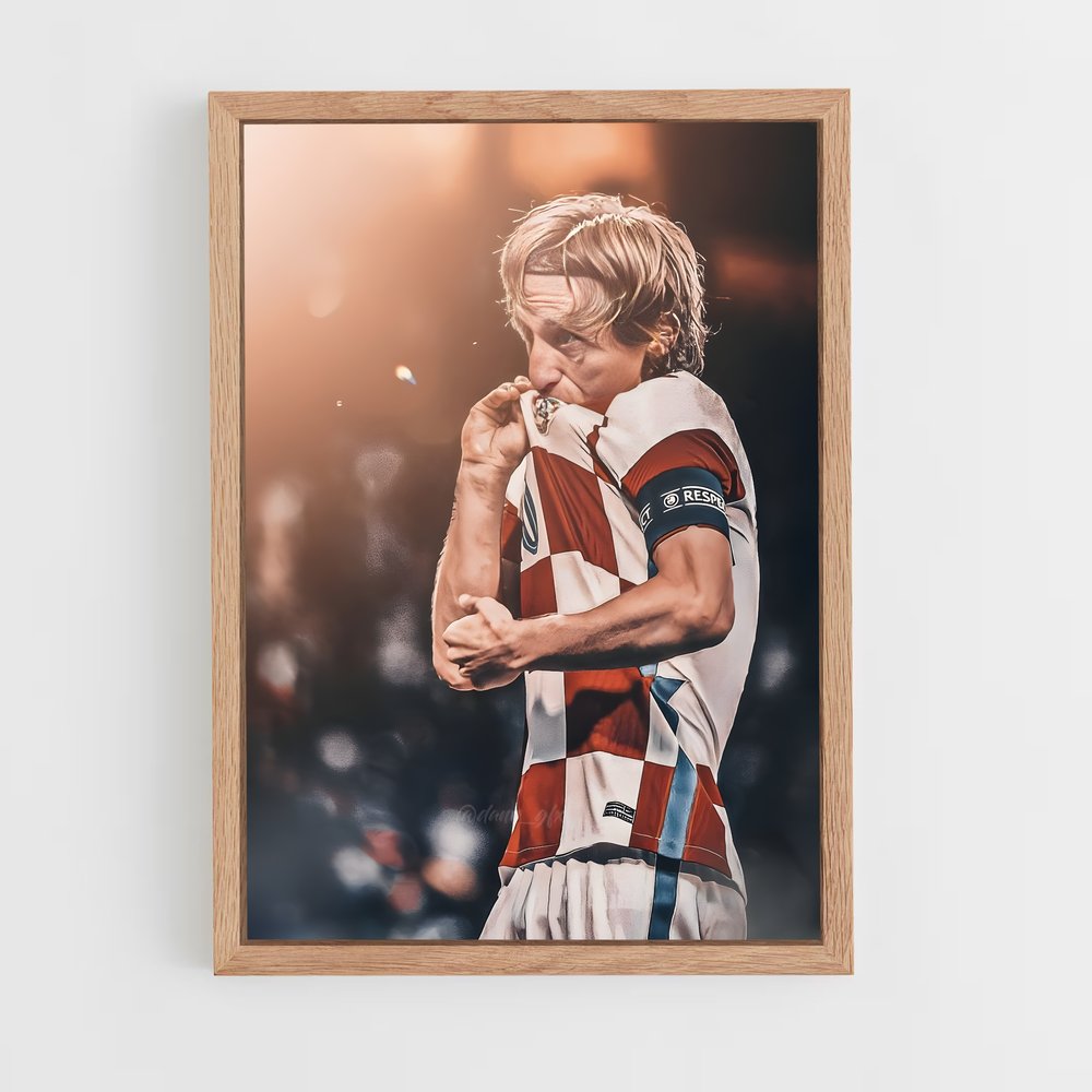 ap-croatia national football team-5 cadre Bois clair