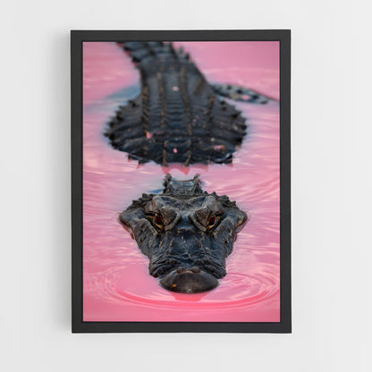 ap-crocodile-7 cadre Noir
