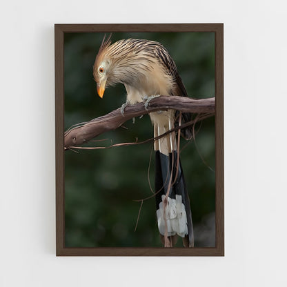 ap-cuckoo-3 cadre Bois foncé