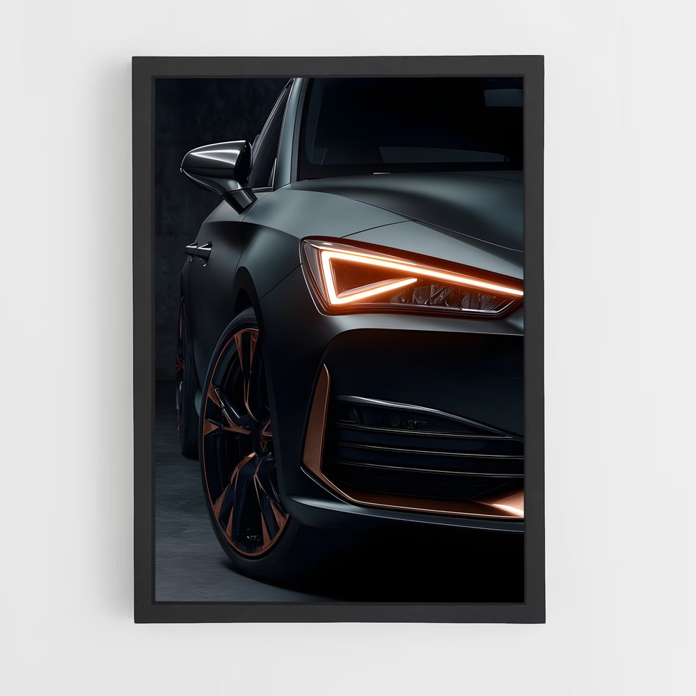 ap-cupra-7 cadre Noir