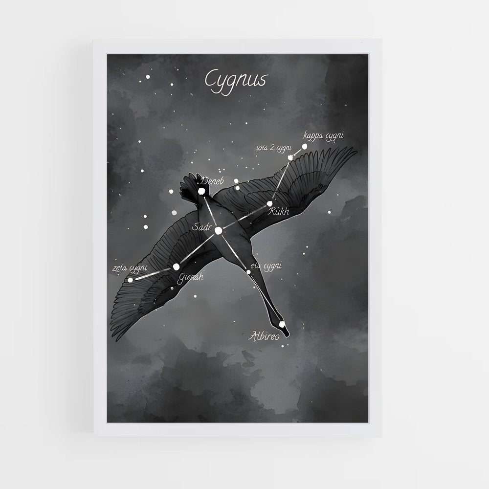 ap-cygnus-1 cadre Blanc
