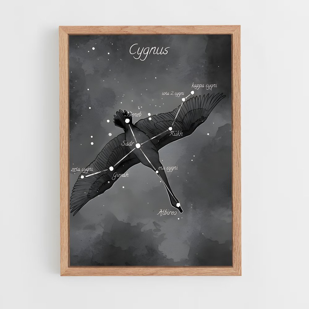ap-cygnus-1 cadre Bois clair