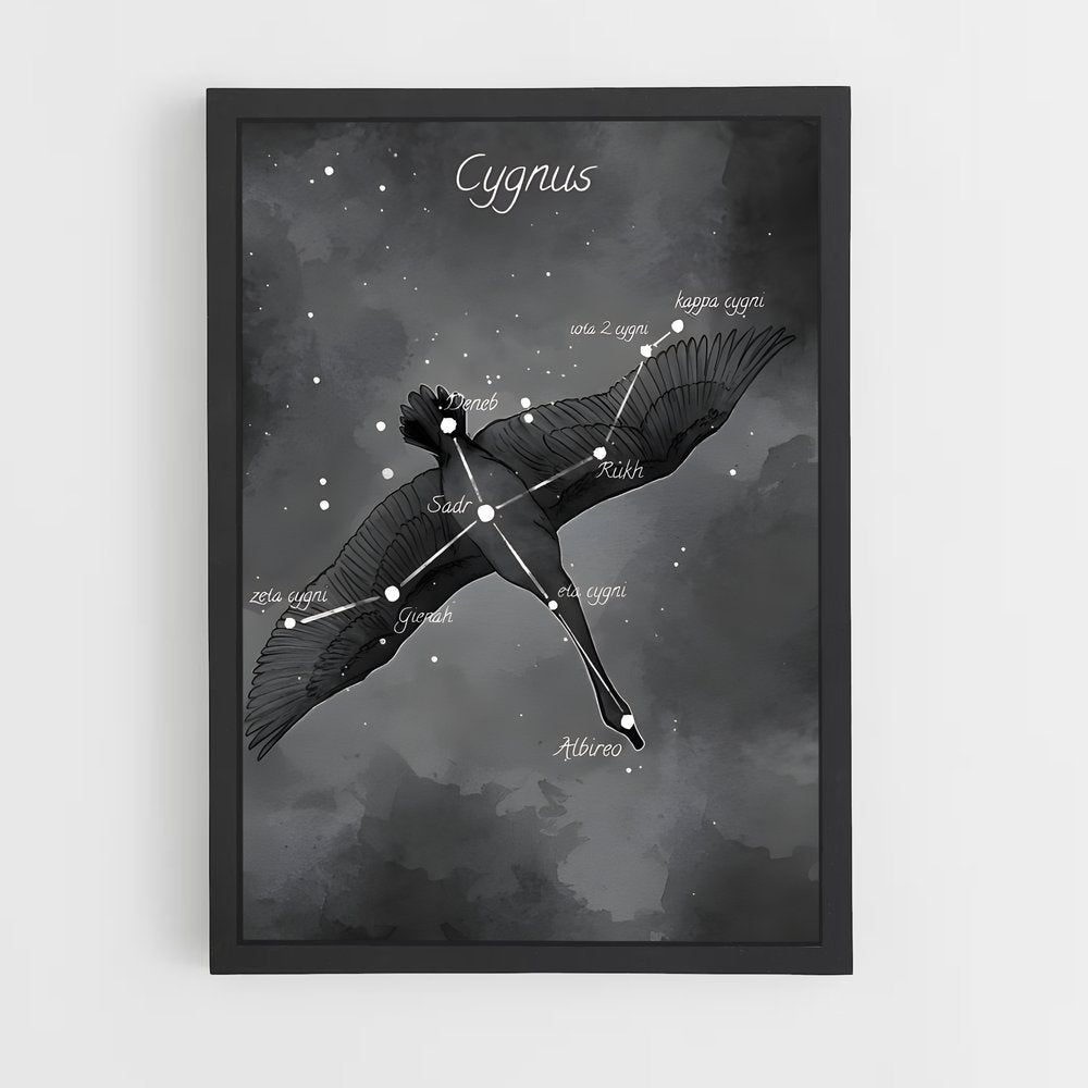 ap-cygnus-1 cadre Noir