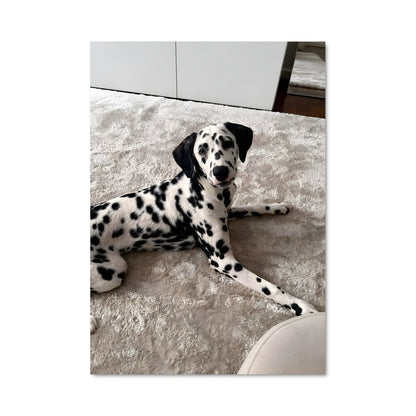 Poster Dalmatian Dream