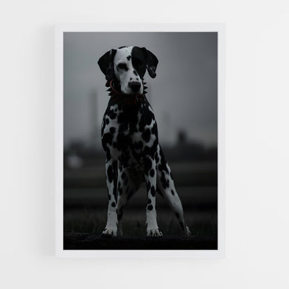ap-dalmatian-4 cadre Blanc
