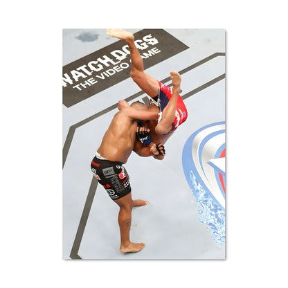 Poster Dan henderson 62138