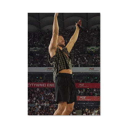 Poster Saut de Dan