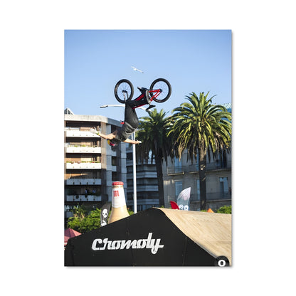 Poster BMX Stunt Master