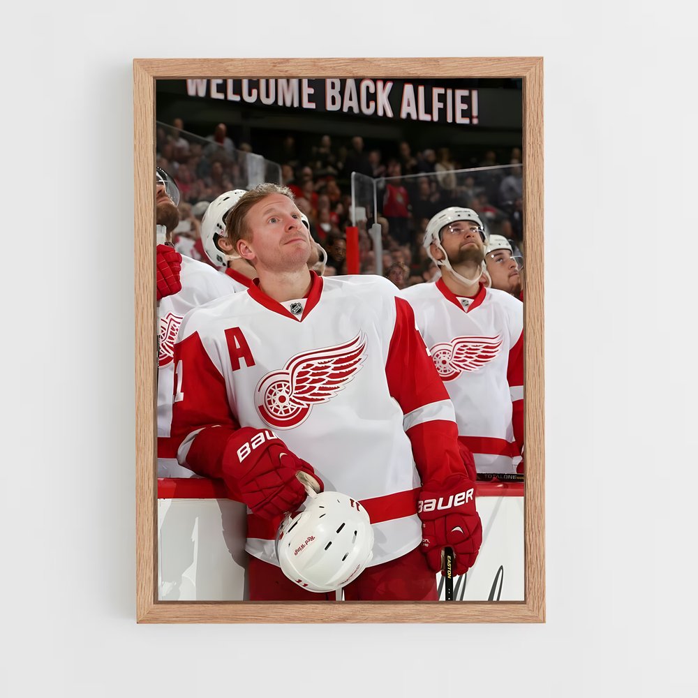 ap-daniel alfredsson-1 cadre Bois clair