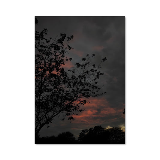 Poster L'Arbre aux Oiseaux