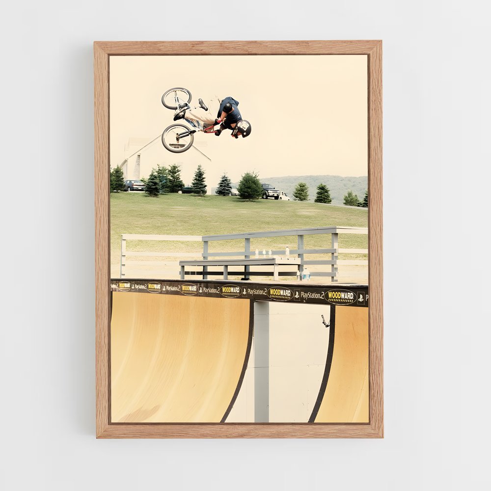 ap-dave mirra-3 cadre Bois clair