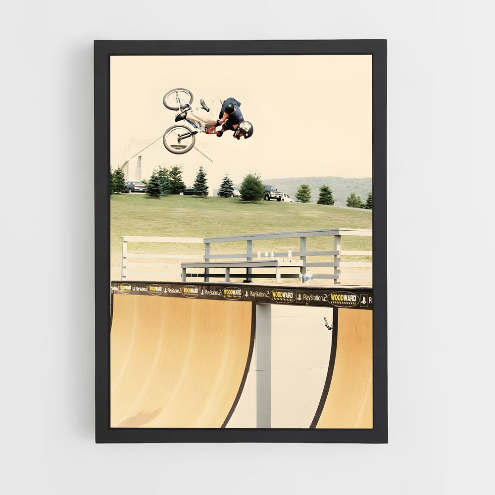 ap-dave mirra-3 cadre Noir