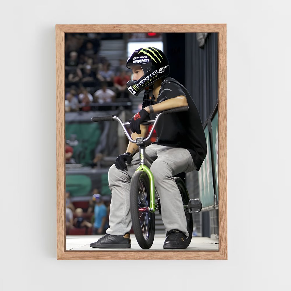 ap-dave mirra-4 cadre Bois clair