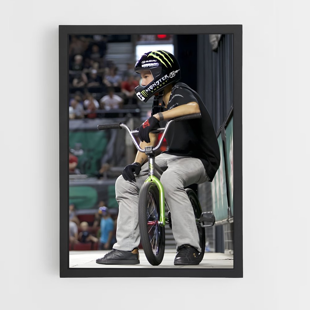 ap-dave mirra-4 cadre Noir