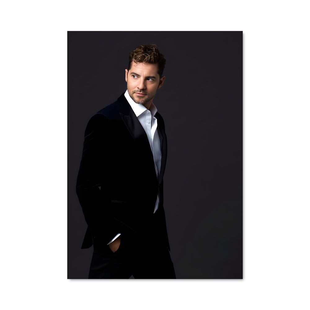 Poster David bisbal 51091