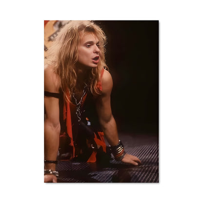 Poster David lee roth 56929