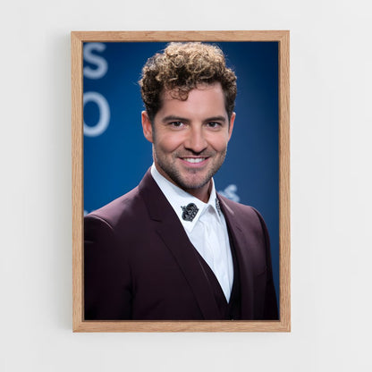 ap-david bisbal-1 cadre Bois clair
