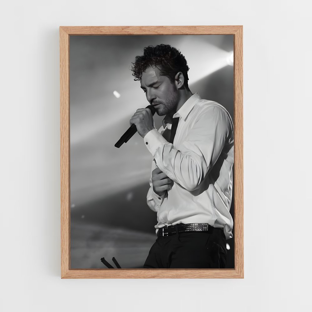 ap-david bisbal-3 cadre Bois clair
