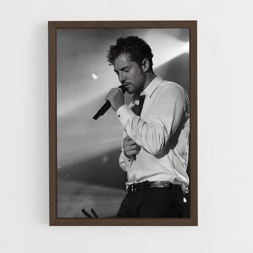 ap-david bisbal-3 cadre Bois foncé