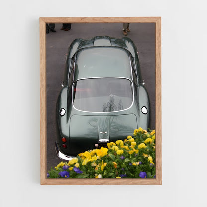 ap-db4 gt zagato-2 cadre Bois clair