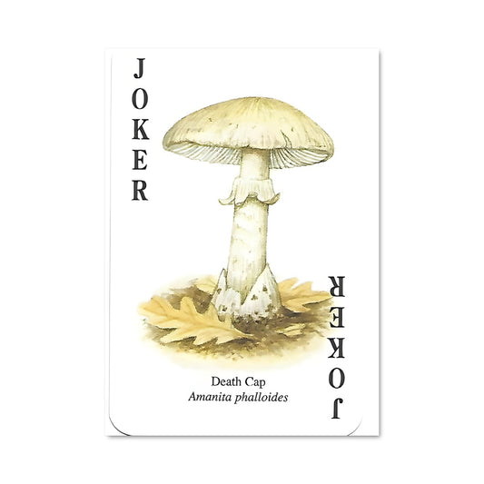 Poster Death cap 94209