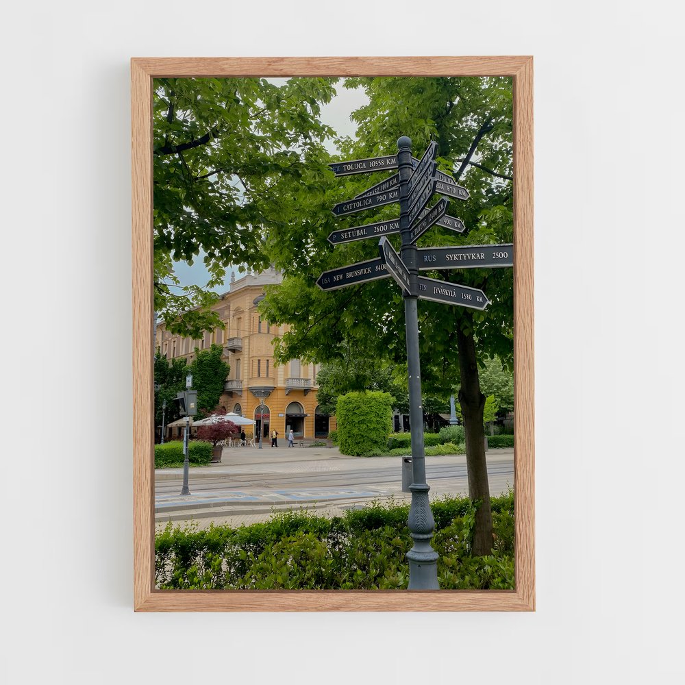 ap-debrecen-1 cadre Bois clair