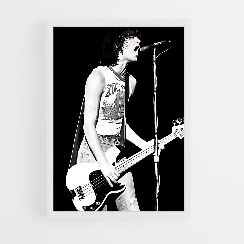 ap-dee dee ramone-1 cadre Blanc