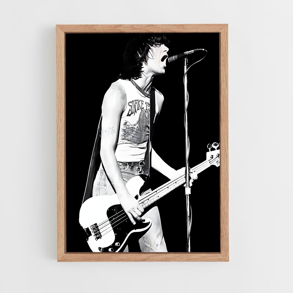 ap-dee dee ramone-1 cadre Bois clair