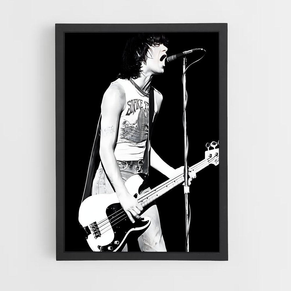 ap-dee dee ramone-1 cadre Noir