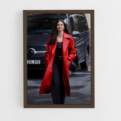 ap-demet özdemir-10 cadre Bois foncé