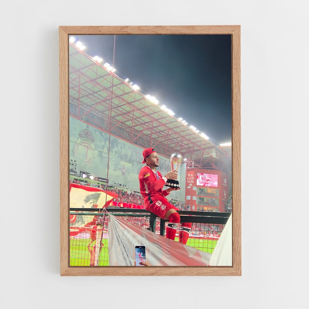 ap-deportivo toluca fc-10 cadre Bois clair
