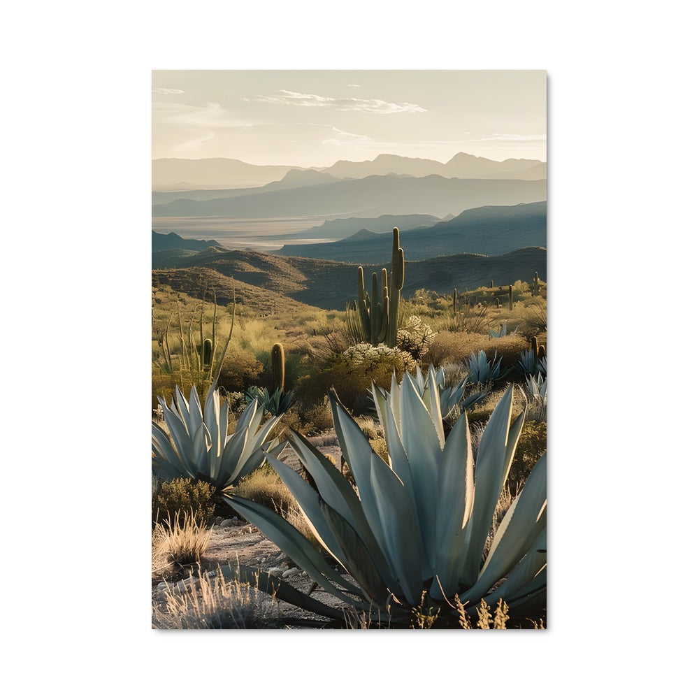 Poster Oasis de Sasa