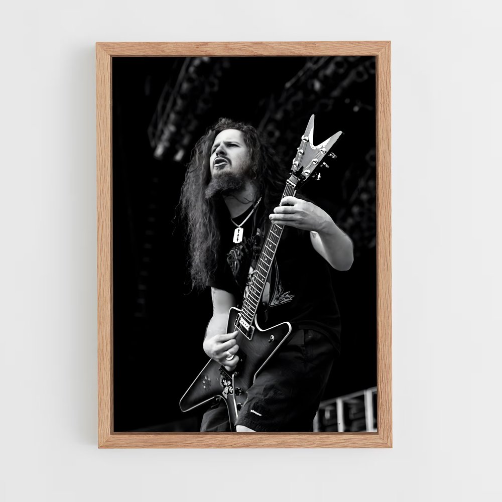 ap-dimebag darrell-4 cadre Bois clair