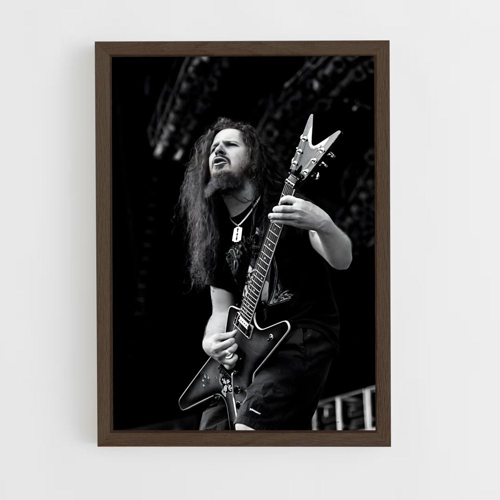 ap-dimebag darrell-4 cadre Bois foncé