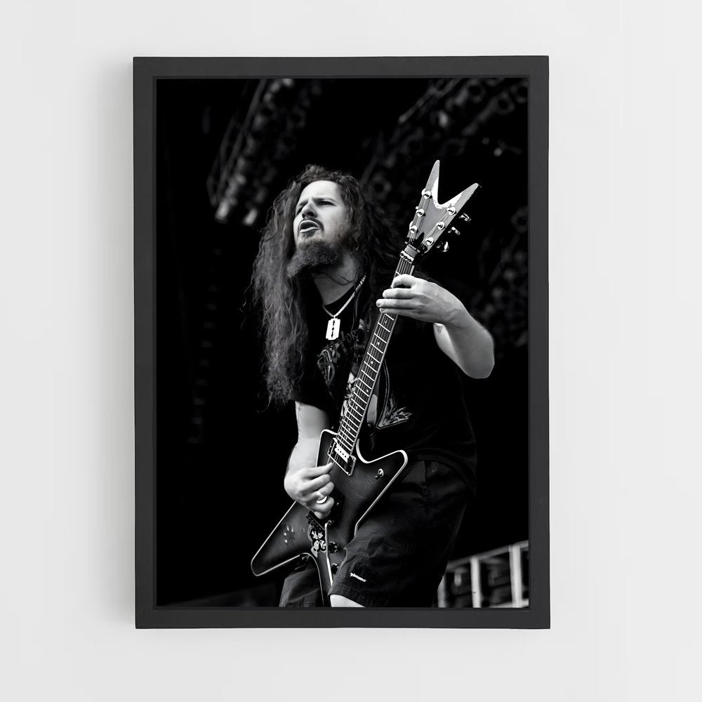 ap-dimebag darrell-4 cadre Noir