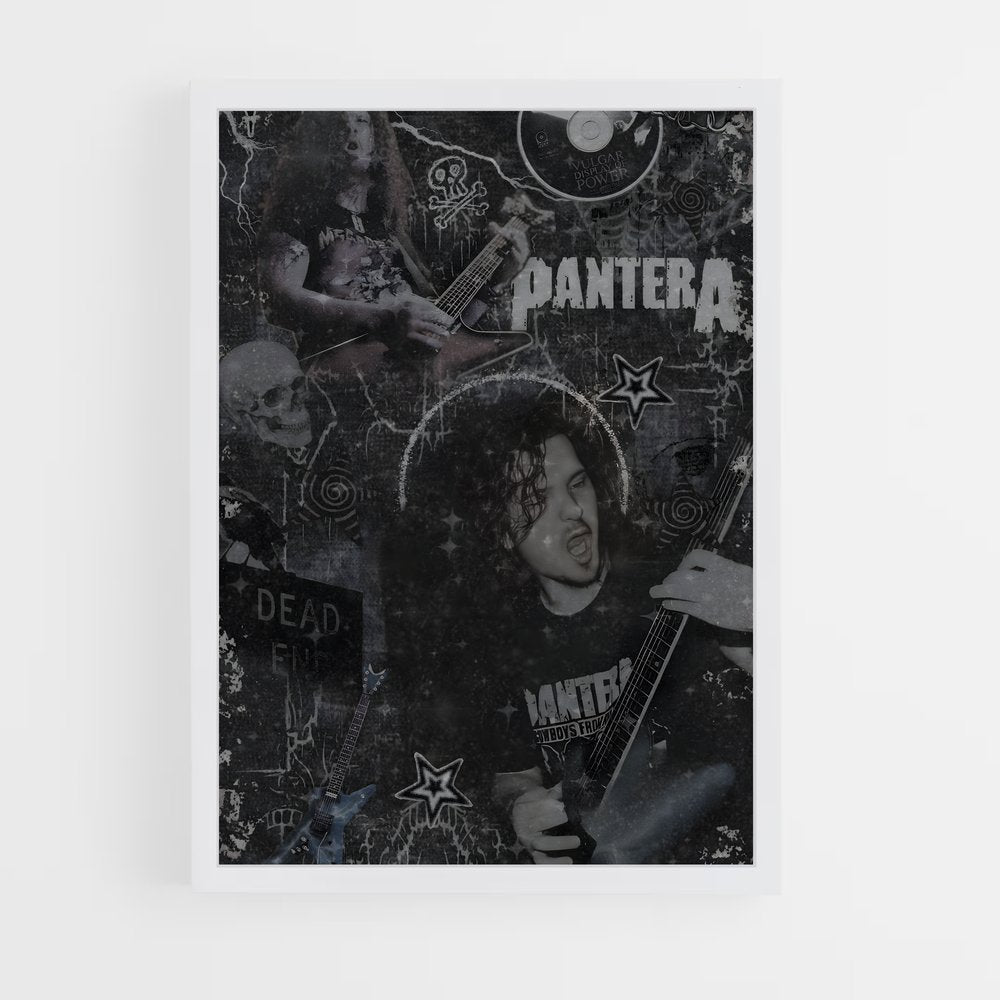ap-dimebag darrell-5 cadre Blanc