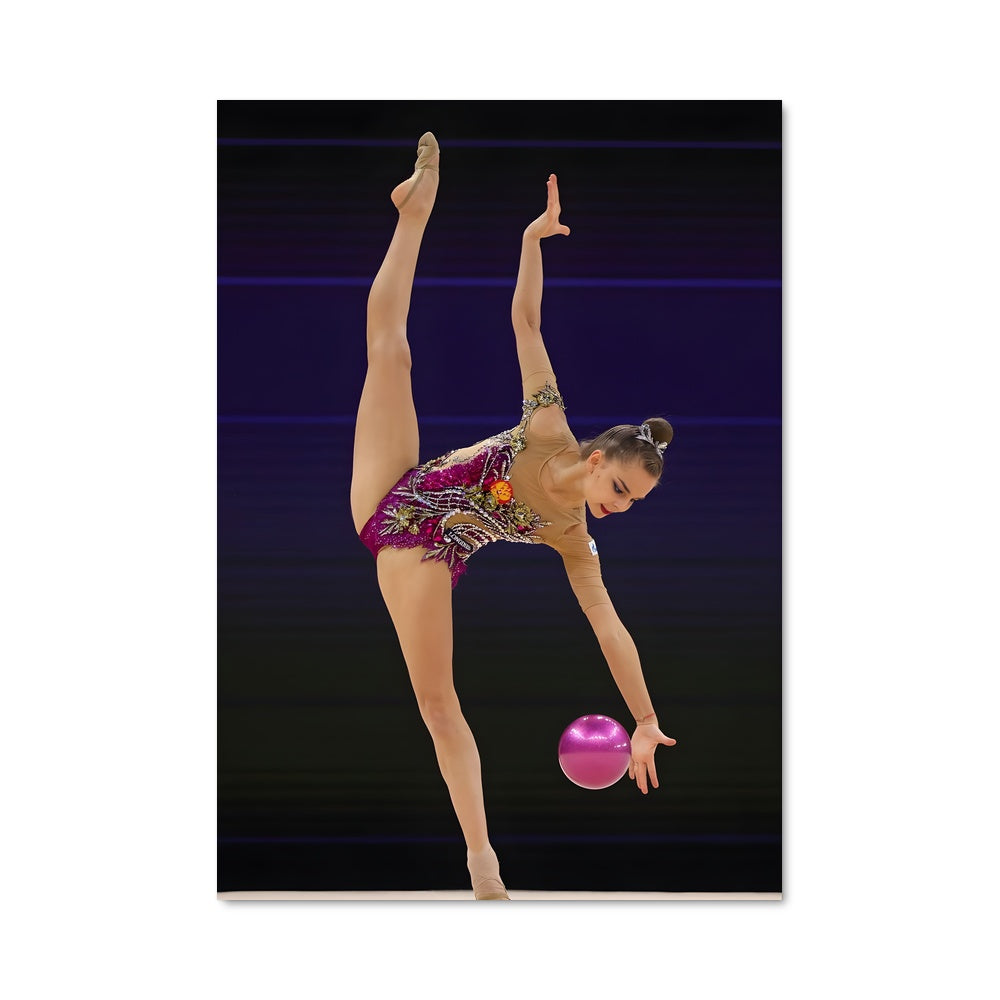 Poster Dina averina 66495