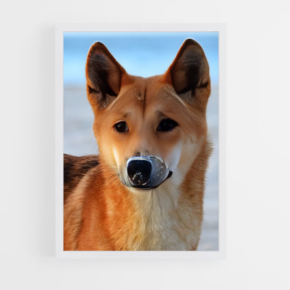 ap-dingo-1 cadre Blanc