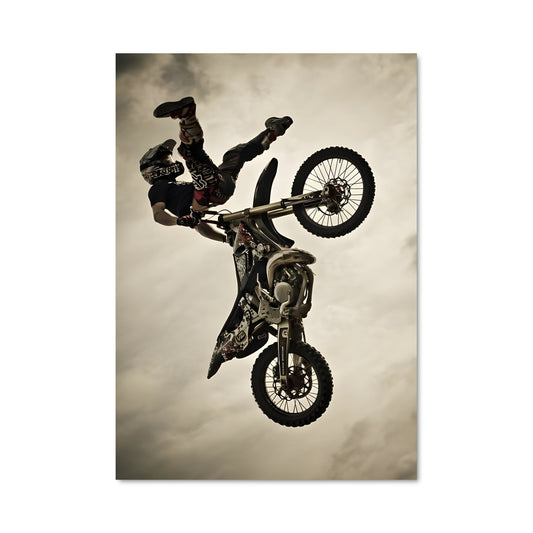 Poster Tricks de la Terre