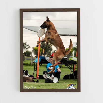 ap-disc dog world championships-1 cadre Bois foncé