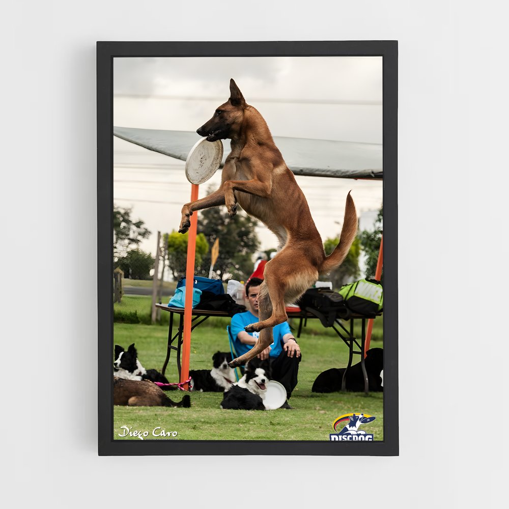 ap-disc dog world championships-1 cadre Noir