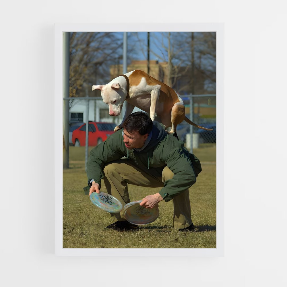 ap-disc dog world championships-4 cadre Blanc