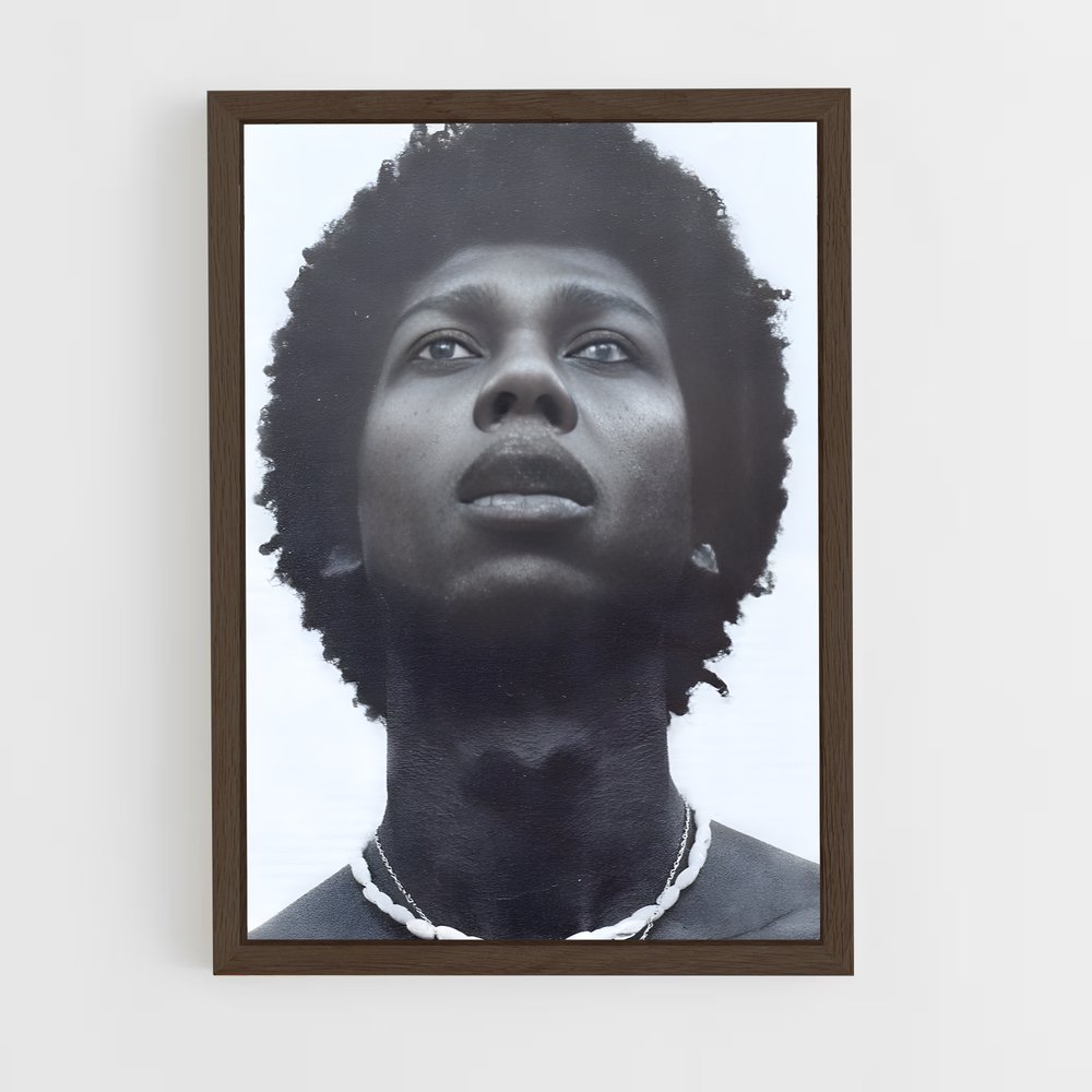 ap-djavan-1 cadre Bois foncé