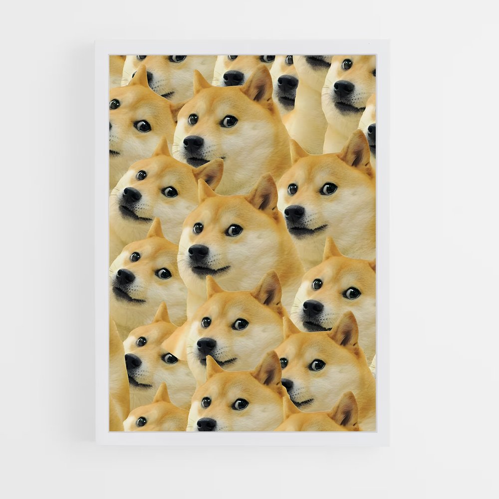 ap-doge-1 cadre Blanc