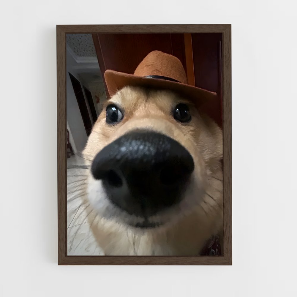 ap-doge-10 cadre Bois foncé