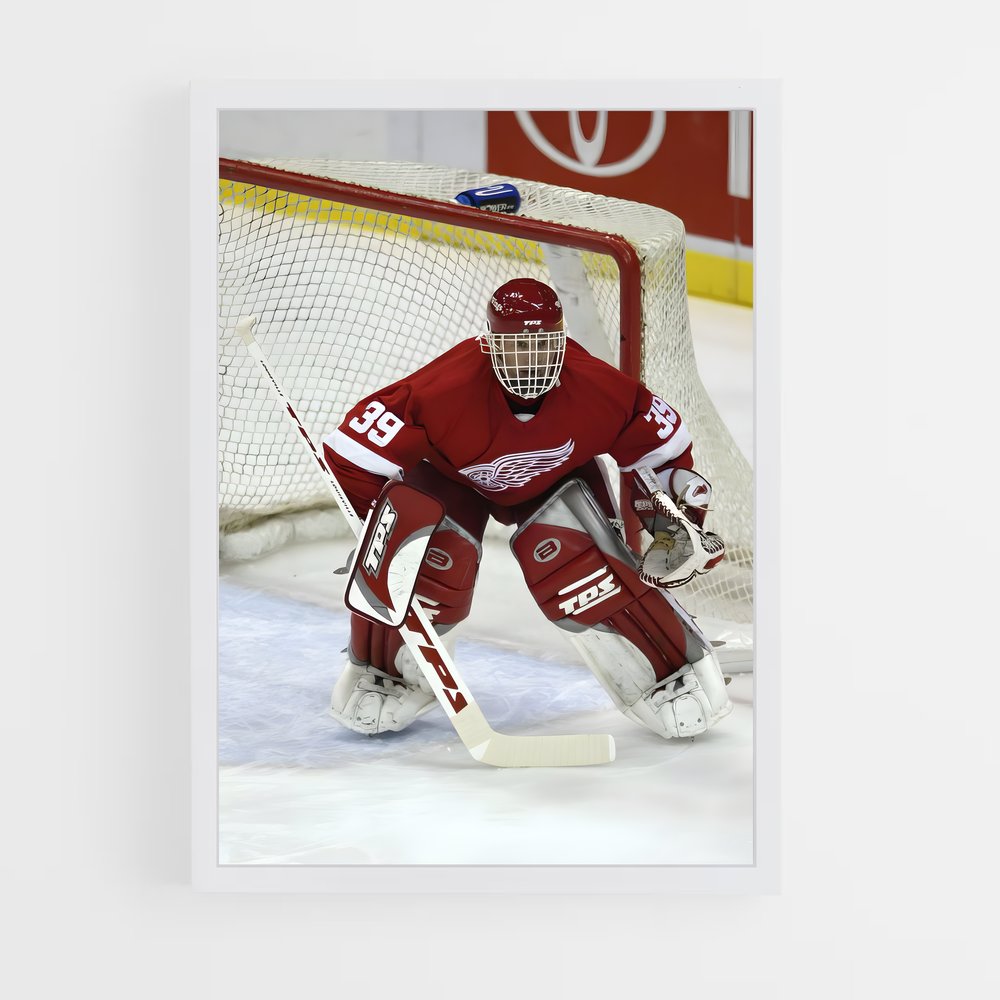 ap-dominik hasek-6 cadre Blanc